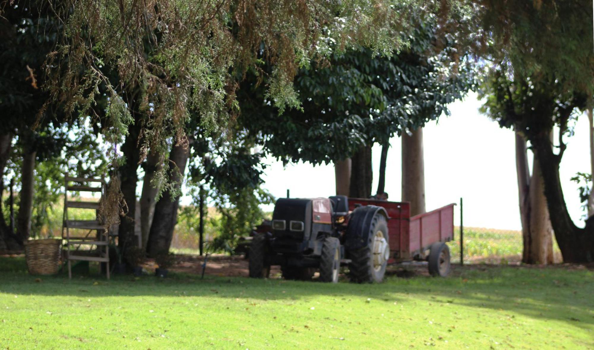 Limoeiro Da Concordia Hotel Fazenda De Charme Cabreúva Buitenkant foto