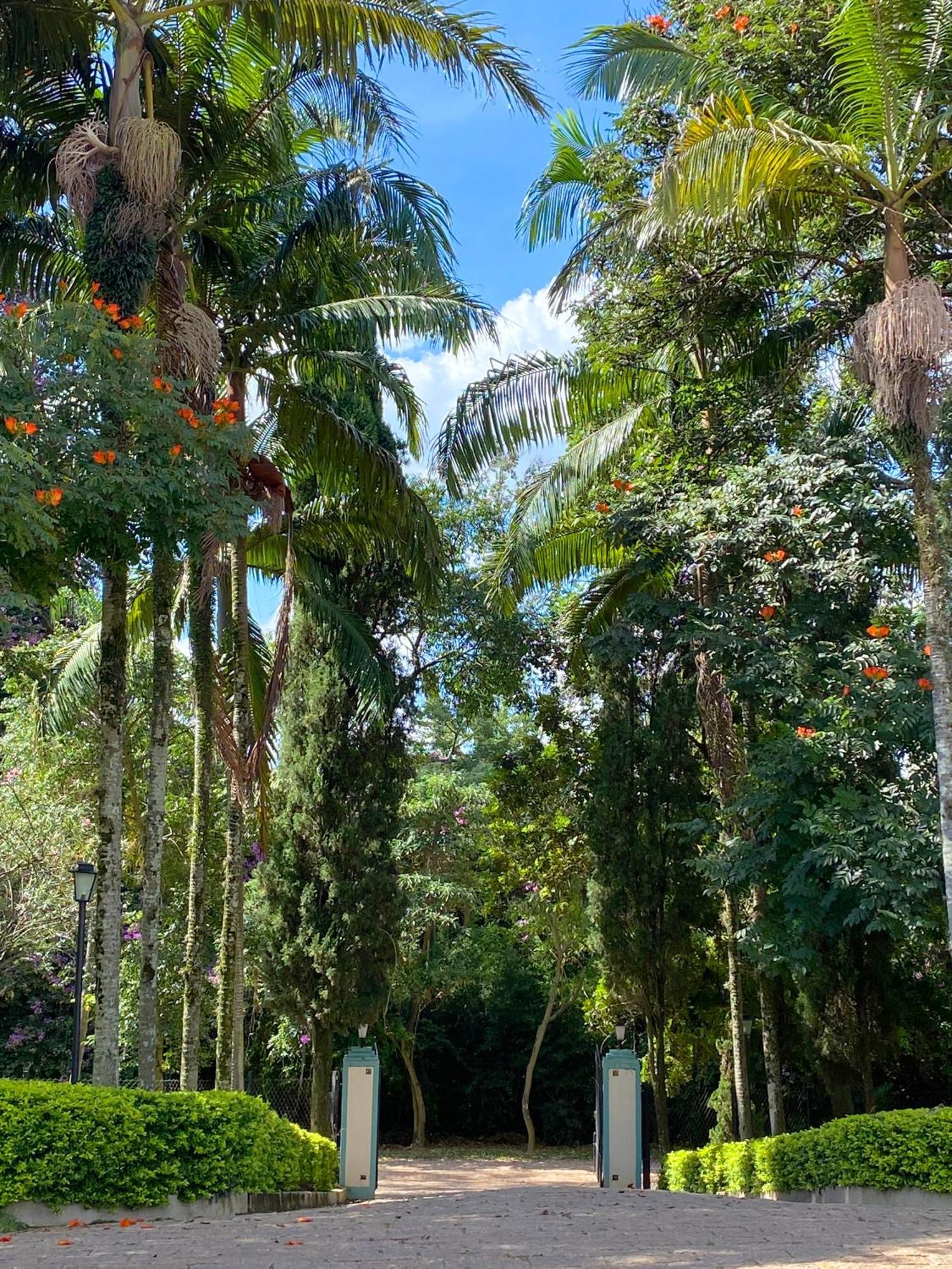 Limoeiro Da Concordia Hotel Fazenda De Charme Cabreúva Buitenkant foto